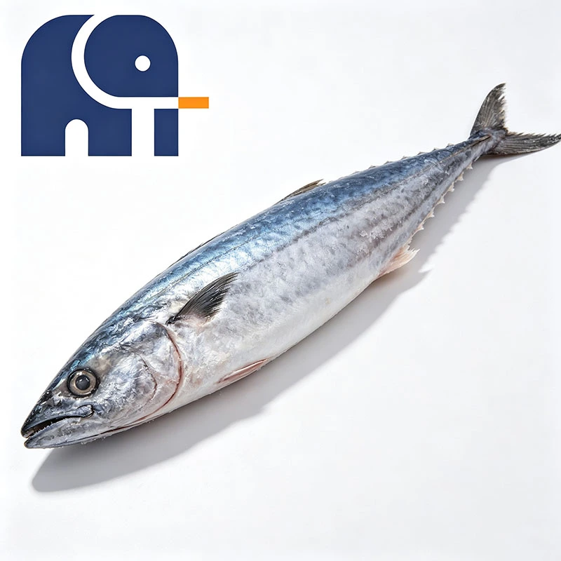 Qu’est-ce que le maquereau espagnol et pourquoi est-il apprécié sur les marchés des fruits de mer ?