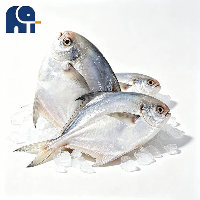IQF avec vitrage Pomfret Blanc