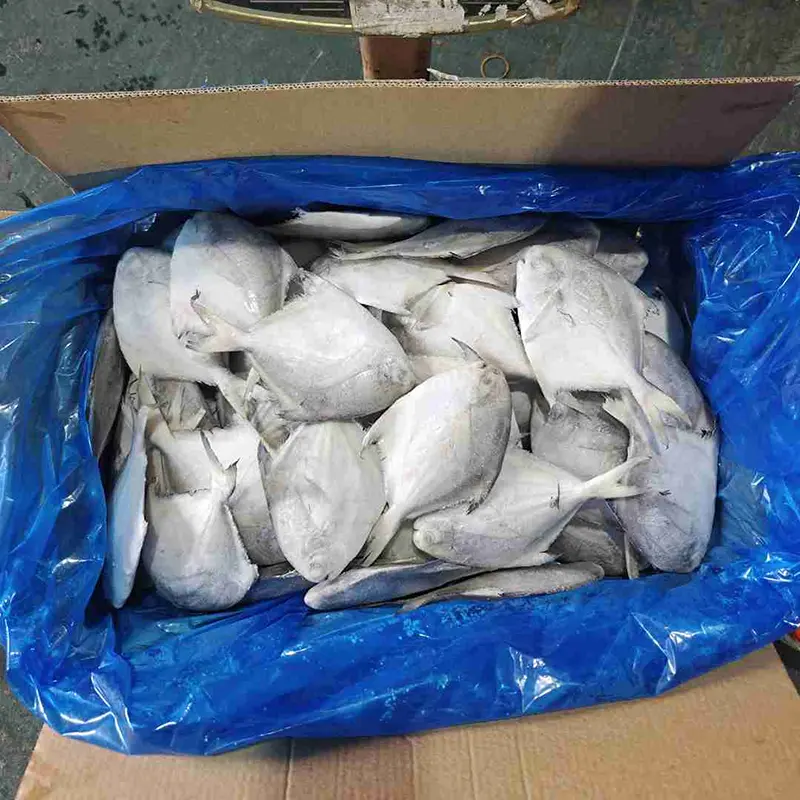 Carton Premium Pomfret Blanc Rond Entier