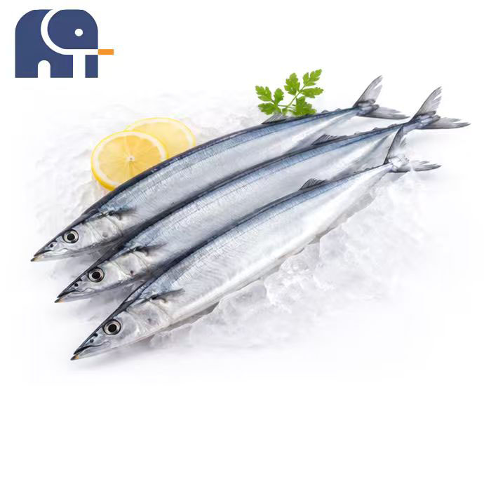 Saury du Pacifique surgelé en hiver